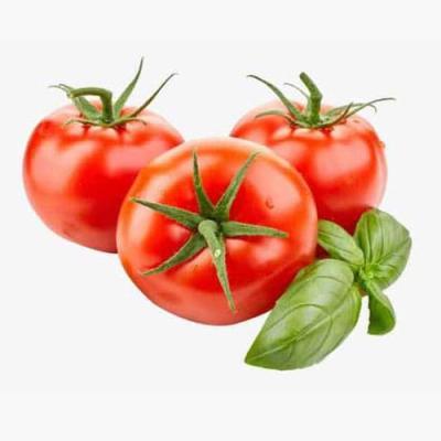 Tomato