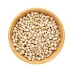 Jowar