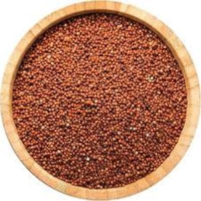Ragi